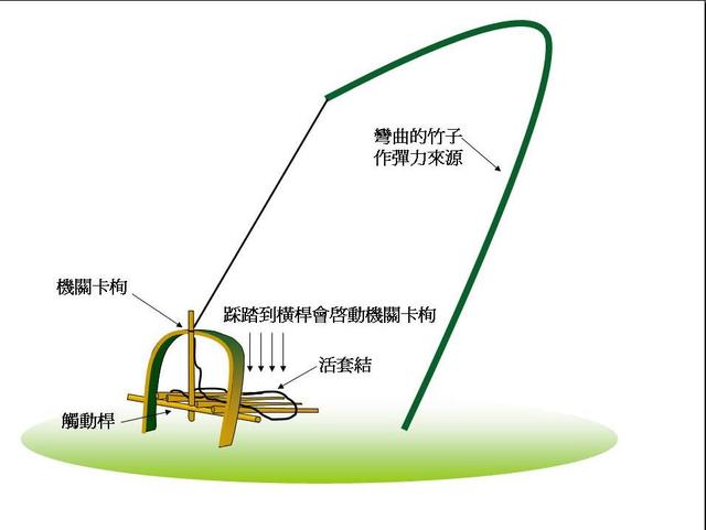 野外生存 <wbr> <wbr>设捕猎陷阱和下套(1)